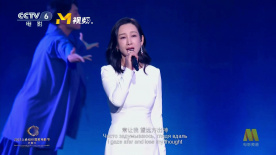 阿拉斯加北极熊2020